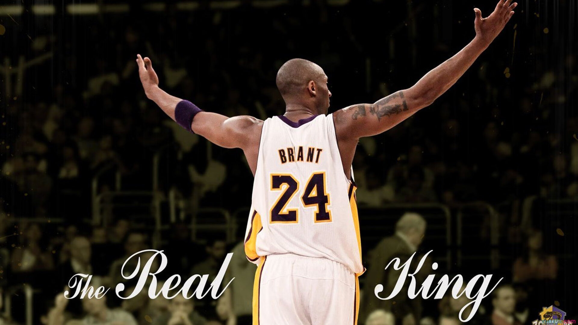 这一扣让球迷疯狂